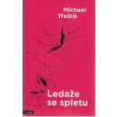 Ledaže se spletu - Michael Třeštík