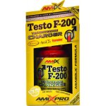 Amix Testo F-200 100 tablet – Zbozi.Blesk.cz