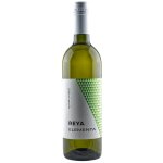 Reya Elementa Rizling Vlašský 12,5% 0,75 l (holá láhev) – Hledejceny.cz