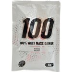 Hitec nutrition 100% Whey Mass gainer 50 g – Zbozi.Blesk.cz