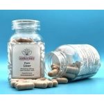 Pure Liver 60 kapslí – Hledejceny.cz