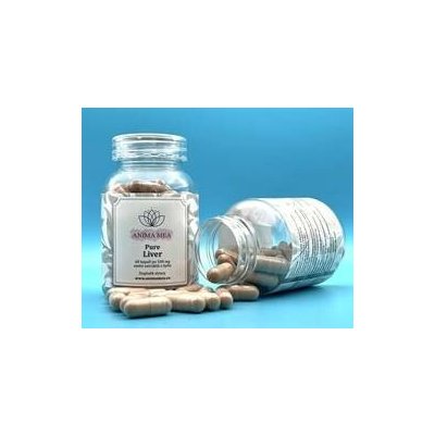 Pure Liver 60 kapslí – Hledejceny.cz
