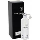 Montale Fougeres Marine parfémovaná voda unisex 100 ml