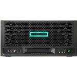HP Enterprise ProLiant MicroServer Gen10+ P54649-421 – Zboží Živě