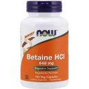 Now Foods Betaine HCl 120 kapslí