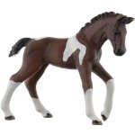 Schleich 13758 Kůň Thakener hříbě – Zbozi.Blesk.cz