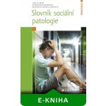 Slovník sociální patologie - Václav Bělík, Stanislava Hoferková, Kraus Blahoslav a kolektiv – Zbozi.Blesk.cz