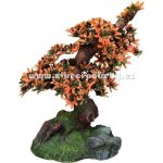 Nobby Bonsaj 10,5x16x19 cm – Sleviste.cz