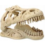 Repti Planet T-Rex lebka 13,3x8,5x9 cm – Zboží Dáma