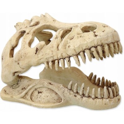 Repti Planet T-Rex lebka 13,3x8,5x9 cm – Zboží Dáma