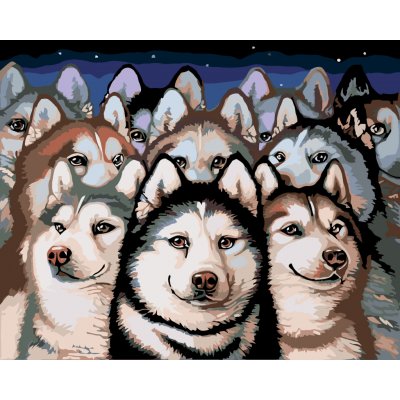 ZUTY Malování podle čísel TLUPA HUSKY 40 x 50 cm – Hledejceny.cz