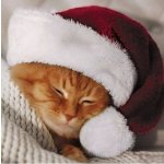 Ubrousek 33x33cm Kotě s čepicí – Zboží Dáma