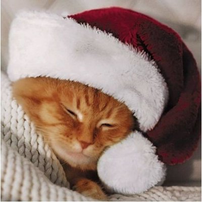 Ubrousek 33x33cm Kotě s čepicí – Zboží Dáma