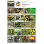 Sada pexesa Já a můj svět 2 – Hledejceny.cz