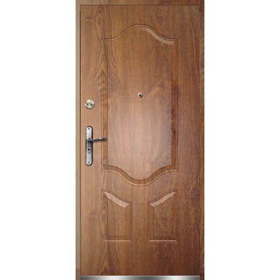 Radex Vchodové ocelové dveře Bergamo 205 x 97 cm L - zlatý dub – HobbyKompas.cz