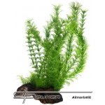 Hobby Flora root 3 30 cm – Zboží Mobilmania