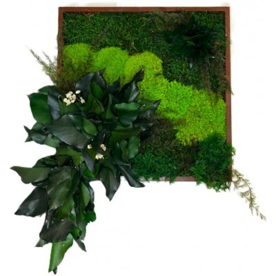 Mechový obraz s rostlinami 3D - čtverec Velikost: 20x20cm – Zboží Dáma