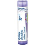 SOLIDAGO VIRGA AUREA POR 30CH GRA 4G – Hledejceny.cz