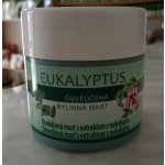 Království bylin osvědčená bylinná mast Propolis včelí vosk 150 ml – Sleviste.cz