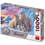 Dino Secret Collection: Lední medvědi 1000 dílků – Sleviste.cz