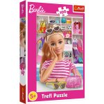 Trefl Seznamte se s Barbie 41x27,5cm 100 dílků – Zboží Dáma