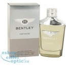 Bentley Infinite toaletní voda pánská 100 ml