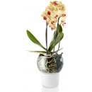 Eva Solo Skleněný samozavlažovací květináč na orchideje 15 cm