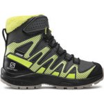 Salomon Pro V8 Winter šedá černá zelená – Sleviste.cz