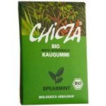 Chicza Spearmint 30 g – Zboží Dáma