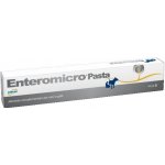 ICF Enteromicro pasta 15 ml – Hledejceny.cz