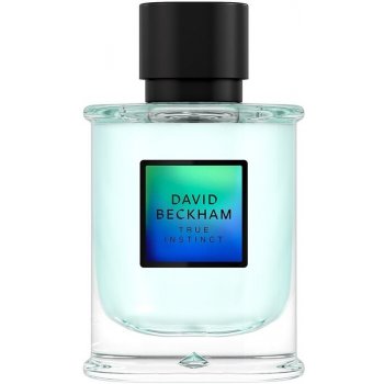 David Beckham True Instinct parfémovaná voda pánská 50 ml
