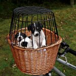 Trixie přepravní koš s drátěnou kabinou 44 x 48 x 33 cm – Hledejceny.cz