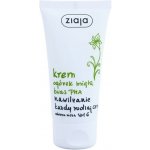 Ziaja Okurka máta pleťový hydratační krém SPF6 50 ml – Zbozi.Blesk.cz