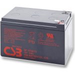 CSB 12V 12Ah GP12120 F2 – Zboží Mobilmania