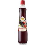 YO sirup lesní plody 0,7 l - PET – Zboží Dáma