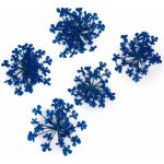 Starnails Sušené květy na nehty Royal Blue 5 ks – Zboží Mobilmania