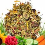 Aniland Bylinná směs pro králíky a hlodavce Herbiemix Junior 0,2 kg – Zboží Dáma