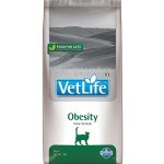 Vet Life Cat OBESITY 10 kg – Zbozi.Blesk.cz