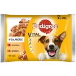 Pedigree Adult hovězí a jehněčí ve šťávě 4 x 100 g – Hledejceny.cz