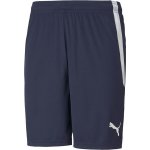 Puma teamLIGA Shorts – Zbozi.Blesk.cz