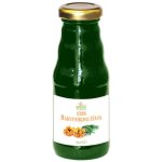 Grešík Šťáva Rakytníková 100% 200 ml – Zboží Dáma