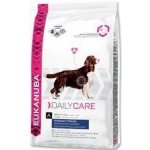 Eukanuba Daily Care Excess Weight 2 x 12,5 kg – Hledejceny.cz