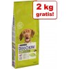 Vitamíny pro zvířata Purina Dog Chow Puppy Large Breed 14 kg