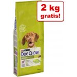 Purina Dog Chow Puppy Large Breed 14 kg – Hledejceny.cz