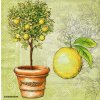 ubrousek 33 x 33 cm citrony