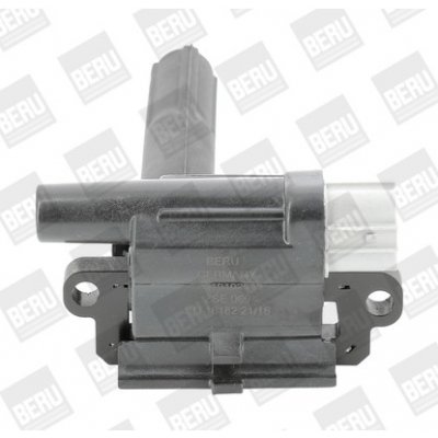 Zapalovací cívka BorgWarner (BERU) ZSE069 – Hledejceny.cz
