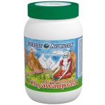 Everest Ayurveda Ajurvédský bylinný elixír Chyawanprash 300 g – Hledejceny.cz