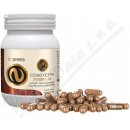 Nupreme Cordyceps extract 100 kapslí