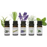Pure Rio 100% set esenciálních olejů 5 x 10 ml – Hledejceny.cz