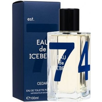 Iceberg Eau de Iceberg Cedar toaletní voda pánská 100 ml